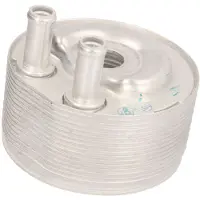 THERMOTEC Radiateur d'huile, huile moteur D41002TT