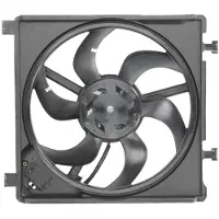 THERMOTEC Ventilateur, refroidissement moteur D8W039TT