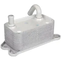 THERMOTEC Radiateur d'huile, huile moteur D4V008TT