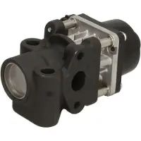 Delphi Vanne EGR EG10454