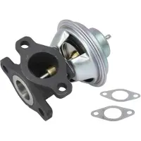 Delphi Vanne EGR EG10623-12B1