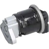 Delphi Soupape AGR EG10499-12B1