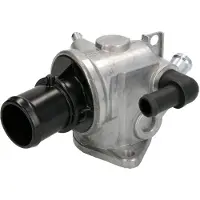 THERMOTEC Thermostat d'eau D2D002TT