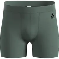 Odlo Merino 160 Boxers Vert M Homme