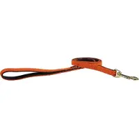 Kentucky Nylon Plaited Dog Leash 15 Mm Orange 15 mm x 200 cm