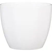 Scheurich Mediterranea 920
