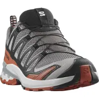 Salomon XA Pro 3D V9, chaussures de trail, homme, gris/rouge