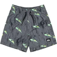 Quiksilver Next Gen Volley 12 Swimming Shorts Gris 24 Months Garçon