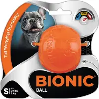 Bionic Balle taille S : Ø 5,8 cm, pour chien