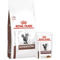 Royal Canin Gastro Intestinal Chat - 4 kg + 12 x 85 gr