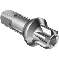 Dt Swiss Aluminum Squorx Pro Head 2.0/fg 2.3 Bike Nipples Argenté 15 mm