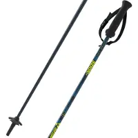 Fischer Rc4 Noize Poles Argenté 110 cm