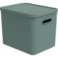 Rotho Boîte de rangement - 27 litres - verte - en plastique - avec couvercle