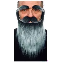 MOM Moustache Et Barbe De Sourcils