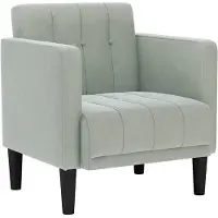 vidaXL Fauteuil avec accoudoirs gris clair 53 cm velours