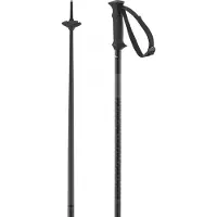 Salomon Polar Access Poles Argenté 105 cm