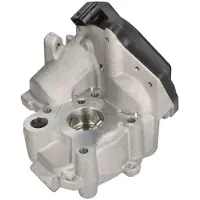 Delphi Vanne EGR EG10538-12B1