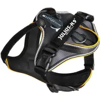 JULIUS K-9 Idc Longwalk Dog Harness Noir XS