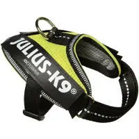 JULIUS K-9 Idc Powair Dog Harness Jaune Baby 1