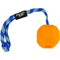 JULIUS K-9 Ball With Fluor Rope Toy Orange 60 mm