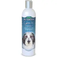 Bio Groom Shampooing Groom n Fresh