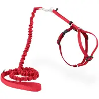 Petsafe Harnais Chat Et Laisse Rouge Taille M