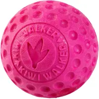 Kiwi Walker Jouet pour chien Balle rose, M, Ø 8 cm (Jouet à mâcher pour chiens)
