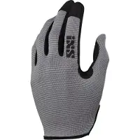 IXS M