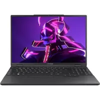 Captiva Business/Office R10-1383GE Ryzen 7 - (15.30", 1000 Go, 32 Go, DE, AMD Ryzen 7 255), Ordinateur portable, Noir