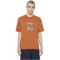 Dickies Dumfries Short Sleeve T-shirt Orange L Homme