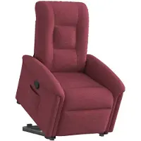 vidaXL Fauteuil relax avec releveur vin rouge Tissu