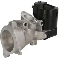 Delphi Vanne EGR EG10591