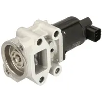 Delphi Soupape AGR EG10543-12B1