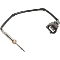 Meat Doria Palpeur, température des gaz 12301