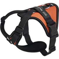 JULIUS K-9 Longwalk Light Dog Harness Orange XS
