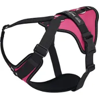 JULIUS K-9 Longwalk Light Dog Harness Rose 2XL