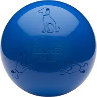 Boomer ball Bleu 20 cm