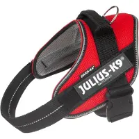 Julius-K9 Idc Powair Dog Harness Rouge M-0