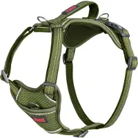 Company of animals Harnais pour chien vert XS 20-32 cm