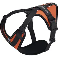 JULIUS K-9 Longwalk Light Dog Harness Orange M