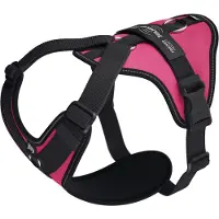 JULIUS K-9 Longwalk Light Dog Harness Rose L
