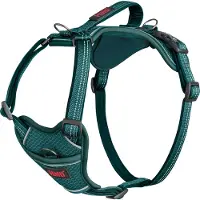 Company of animals Halti Anatomy Dog Dog Harness Vert S