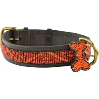 Kampuni Collier pour chien Kabaka néon mini, 38x1,9 cm (Chien)