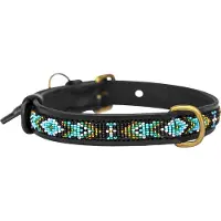 Kampuni Collier pour chien Skinny Terese turkis medium, 53x2,1 cm (Chien)