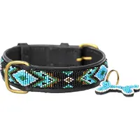 Kampuni Collier pour chien Terese turkis mini, 38x1,9 cm (Chien, Promenade)