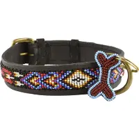 Kampuni Collier pour chien Kiowa sort mini, 38x1,9 cm (Chien)