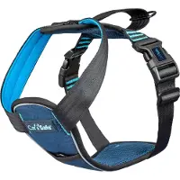 Company of animals Carsafe Crash Tested Dog Dog Harness Bleu S