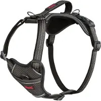 Company of animals Anatomy Harness - Gris - XS
