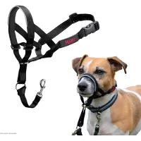 Company of animals Collier De Dressage Halti