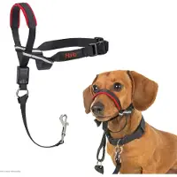 Halti Optifit harnais de tête taille S pour chien